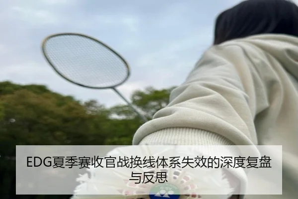 EDG夏季赛收官战换线体系失效的深度复盘与反思 - LEYU