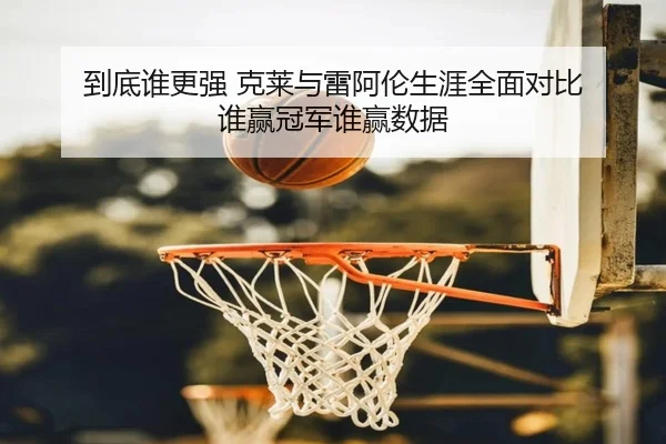 到底谁更强 克莱与雷阿伦生涯全面对比 谁赢冠军谁赢数据 - LEYU