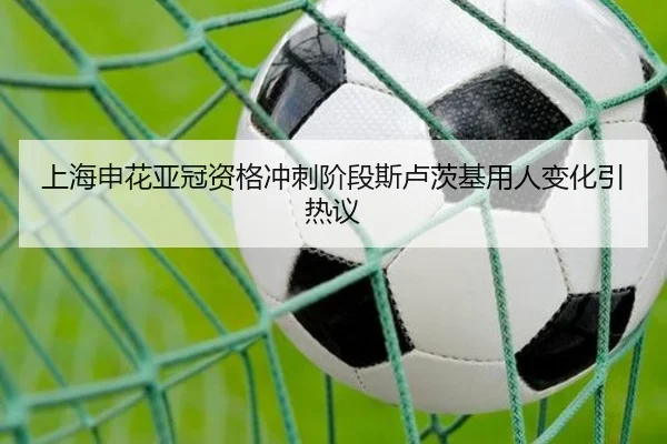 上海申花亚冠资格冲刺阶段斯卢茨基用人变化引热议 - LEYU