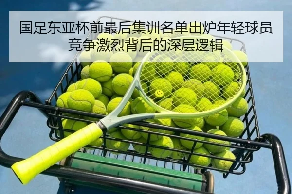 国足东亚杯前最后集训名单出炉年轻球员竞争激烈背后的深层逻辑 - LEYU