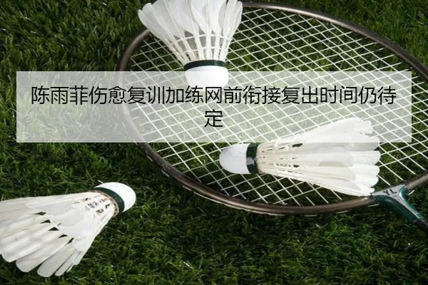陈雨菲伤愈复训加练网前衔接复出时间仍待定 - LEYU